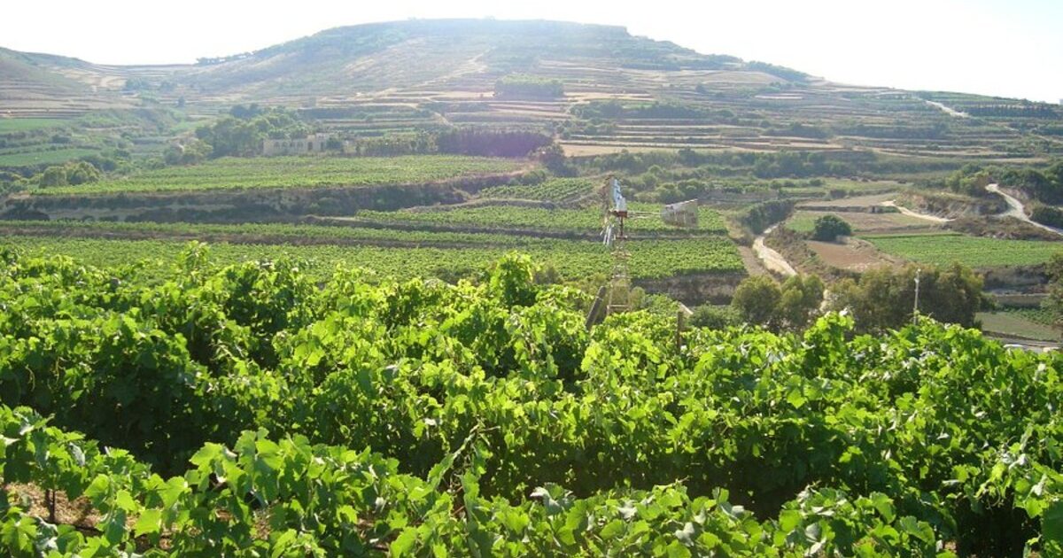 Ta Mena Estate