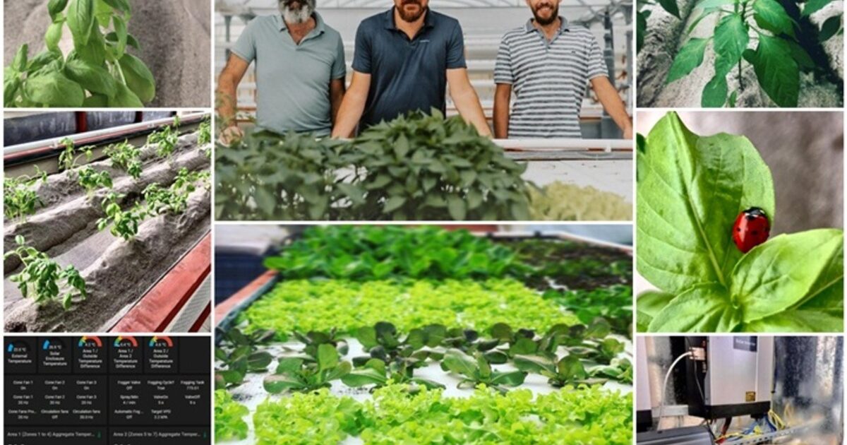 Acquaponics