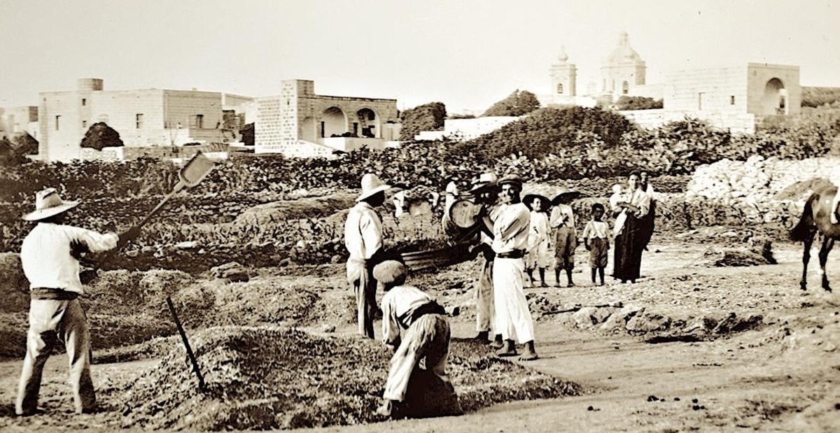Farming Traditions of Gozo