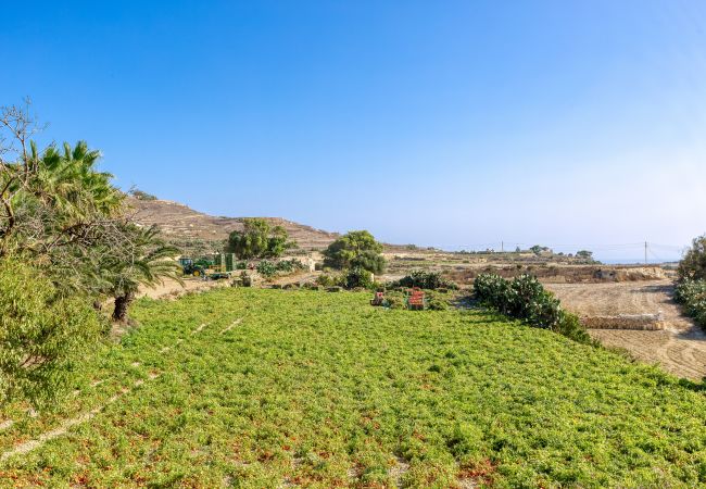 Villa in L-Ghasri - Ta Guza - Ghasri Holiday Home Villa in L-Ghasri - Ta Guza - Ghasri Holiday Home